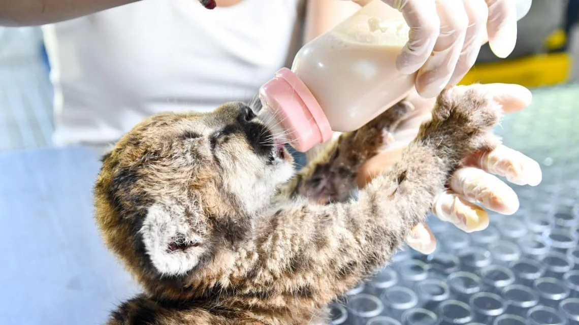 unnamed - 2026-03-28T120722.141